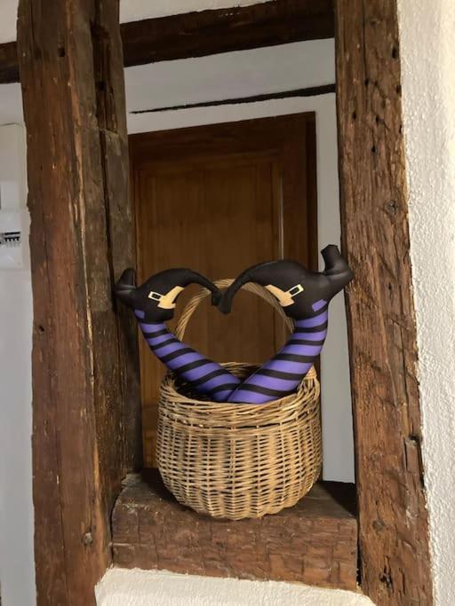 La Sorciere In A Typical Alsatian House Διαμέρισμα Rouffach Εξωτερικό φωτογραφία